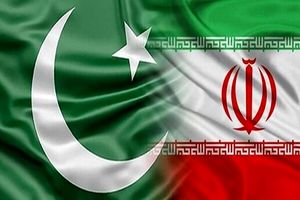 وزیر کشور پاکستان وارد تهران شد