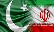 وزیر کشور پاکستان وارد تهران شد
