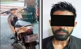 پلیس «جوجه تیغی» را به دام انداخت