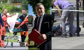 ضارب نخست‌وزیر اسلواکی شاعر و نویسنده است 