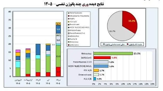 وضعیت آنفلوآنزا در هفته بیست‌ودوم سال/ دو استان بالاتر از آستانه هشدار