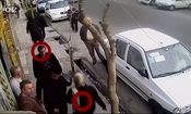 اگر این سارقان را می‌شناسید به پلیس خبر دهید/ ویدئو