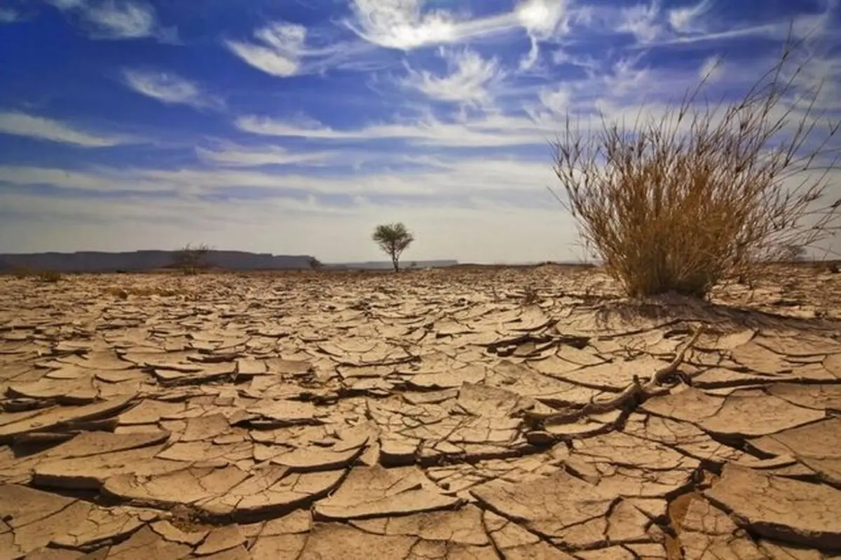 ۱۵ تریلیون دلار خسارت سالانه بیابان‌زایی در جهان