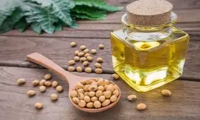 سویا، پروتئینی ویژه برای گیاه خواران