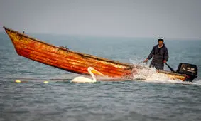 ساروی ها از پرداخت عوارض دریا در سواحل فرح آباد معاف شدند
