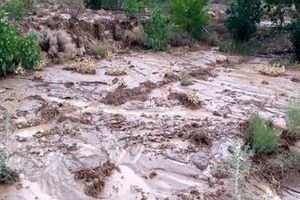 بارندگی سیل‌آسا در کوهبنان استان کرمان/ آبگرفتگی منازل مسکونی و مسدودشدن جاده زرند - کوهبنان

