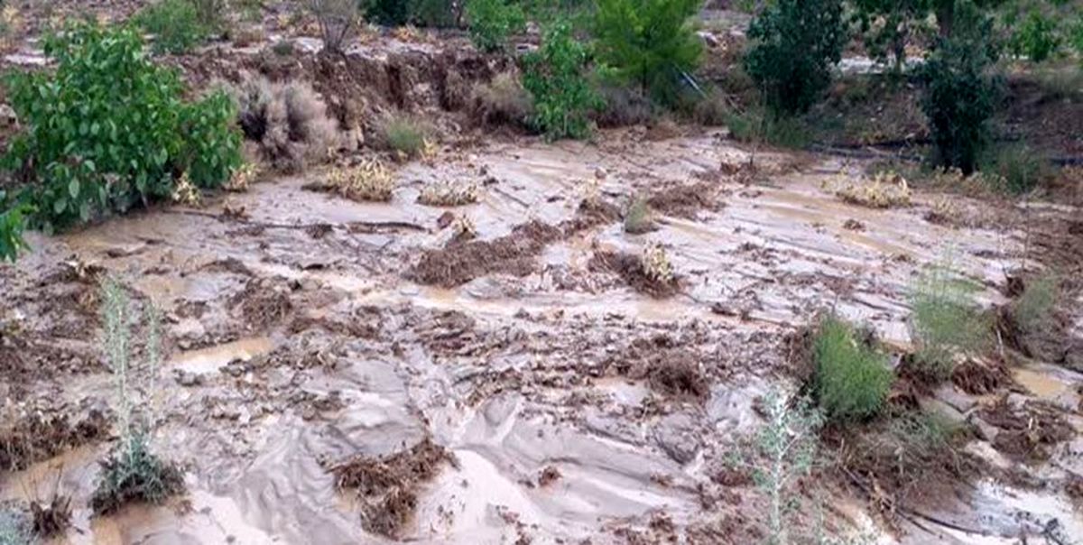 بارندگی سیل‌آسا در کوهبنان استان کرمان/ آبگرفتگی منازل مسکونی و مسدودشدن جاده زرند - کوهبنان

