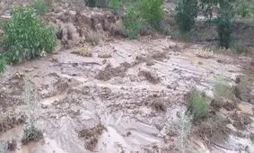 بارندگی سیل‌آسا در کوهبنان استان کرمان/ آبگرفتگی منازل مسکونی و مسدودشدن جاده زرند - کوهبنان

