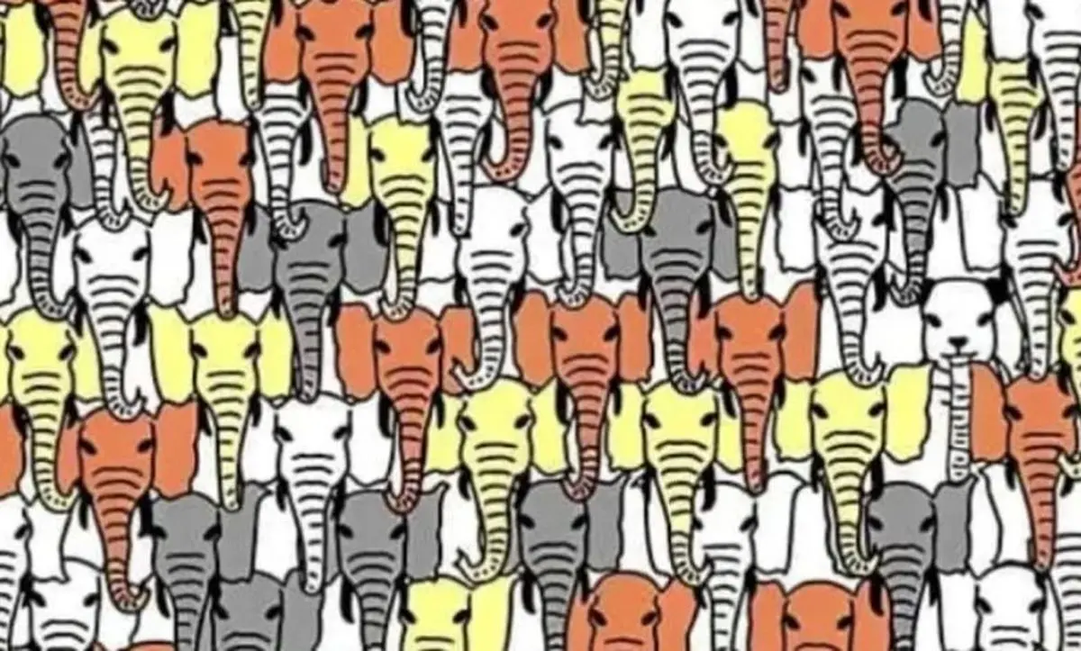 پاندای پنهان شده در این تست بینایی را در کمتر از 7 ثانیه پیدا کنید