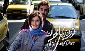 سکانس جنجالی و عجیب الناز شاکردوست و نوید پورفرج در گوزن های اتوبان/ ویدئو