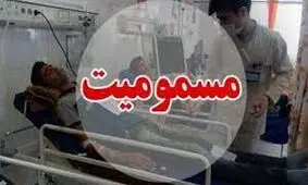 مسمومیت جمعی از کارگران بر اثر نشت گاز آمونیاک