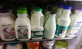 عرضه لبنیات با ۲۰ درصد تخفیف در میادین میوه و تره بار