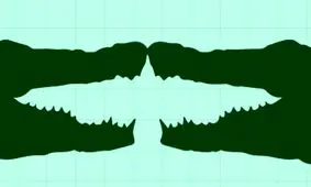 تست شخصیت شناسی/ در این تصویر چه می بینید، تمساح یا پرنده؟