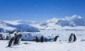 کشف یک رودخانه ۴۶۰ کیلومتری زیر یخسار قطب جنوب

