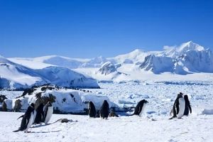 کشف یک رودخانه ۴۶۰ کیلومتری زیر یخسار قطب جنوب

