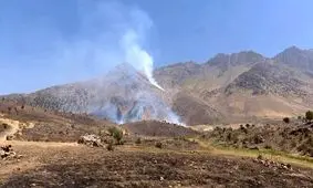 عراق اقدام ایران را محکوم کرد