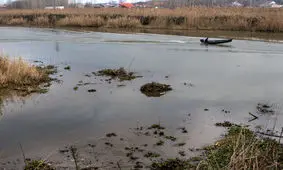 گرفتار شدن ۷ نفر در باتلاق ساحلی بوشهر