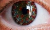 علائم کرونای چشمی را جدی بگیرید