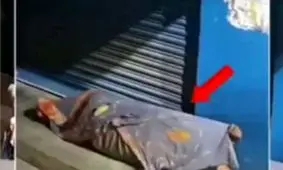 سرقت به شیوه‌ای باورنکردنی با استفاده از لباس افراد کارتن‌خواب/ ویدئو