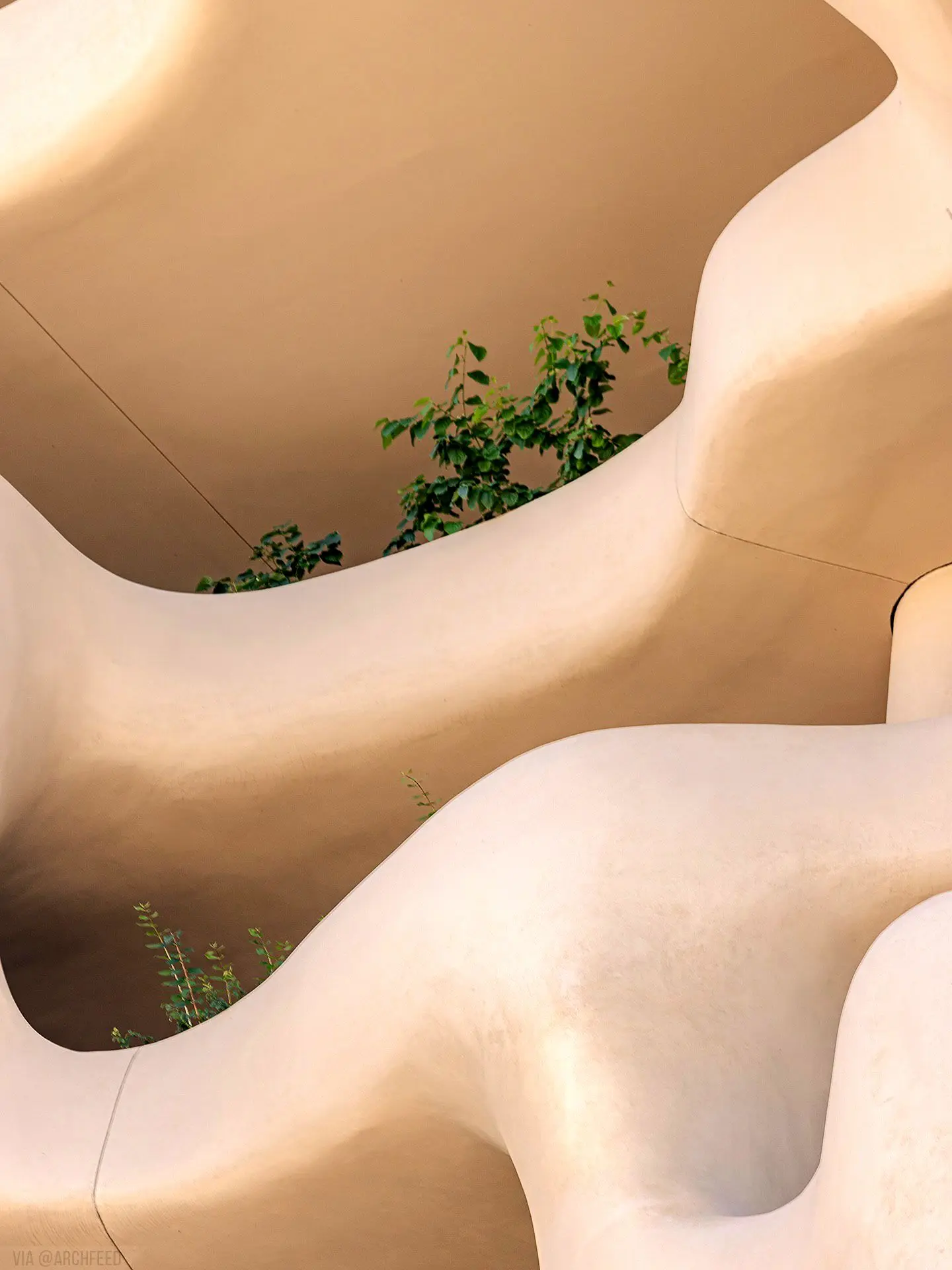 نمای ساختمان وان ریور نورث در دنور با نمای شیشه‌ای و شکاف عمیق صخره‌ای مجهز به گیاهان طبیعی و مسیر پیاده‌روی عمودی.