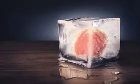 کشف جدید دانشمندان؛ انجماد و احیای بافت زنده مغز ممکن شد

