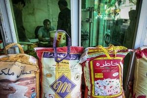 قیمت برنج پاکستانی و هندی کیلویی چند؟