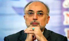 صالحی: روسیه اجازه نداد از سوخت ساخت ایران در راکتور بوشهر استفاده کنیم/ ویدئو