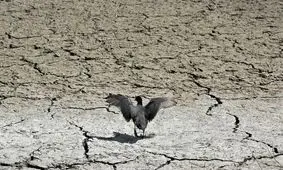 یک سازمان هواشناسی هشدار داد؛ نگرانی از خشکسالی در اروپا در پی گرمای بی سابقه