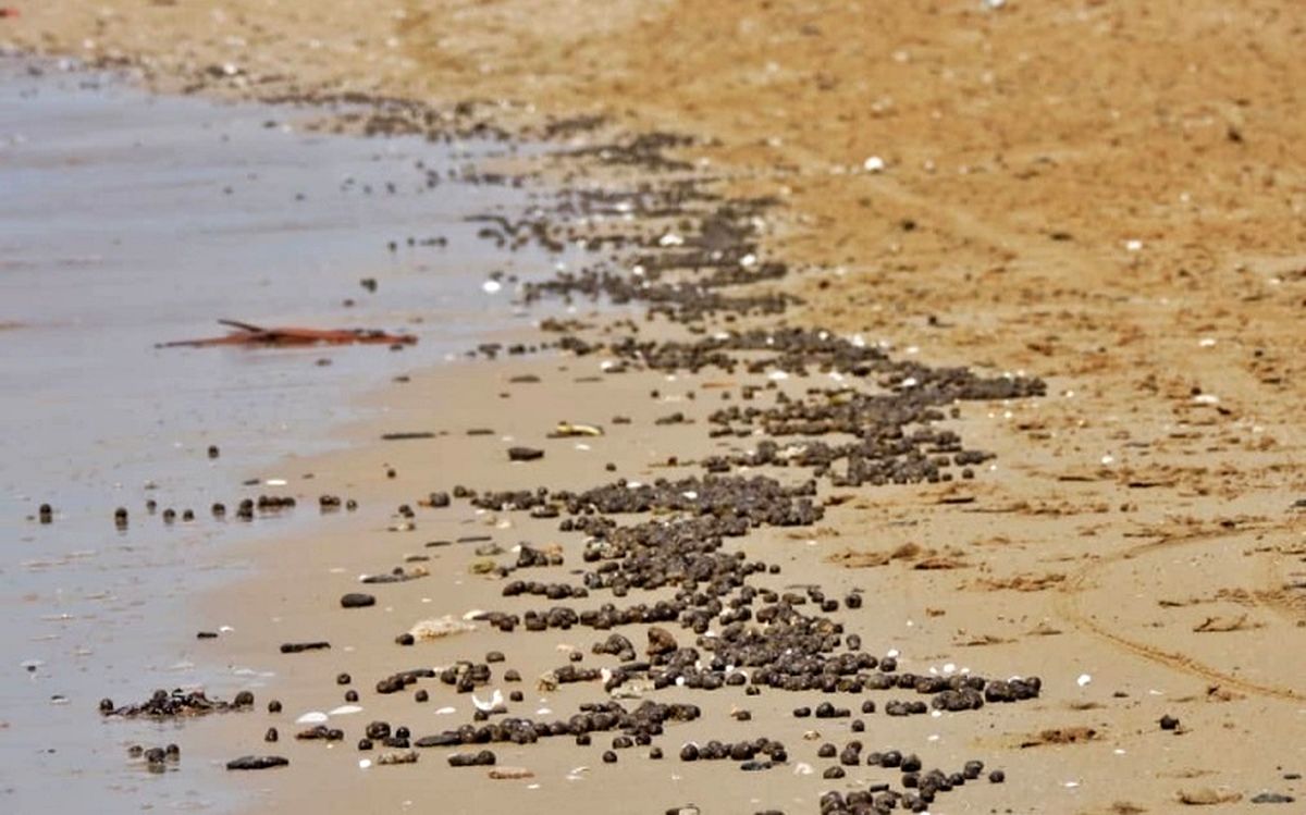 آلودگی ساحل گناوه به مواد نفتی/ ویدئو