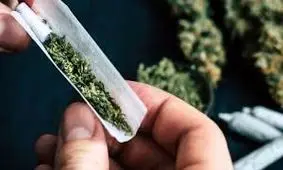 توهم زایی گل در ایران ۱۰ برابر اروپاست