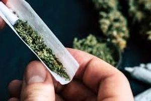 توهم زایی گل در ایران ۱۰ برابر اروپاست