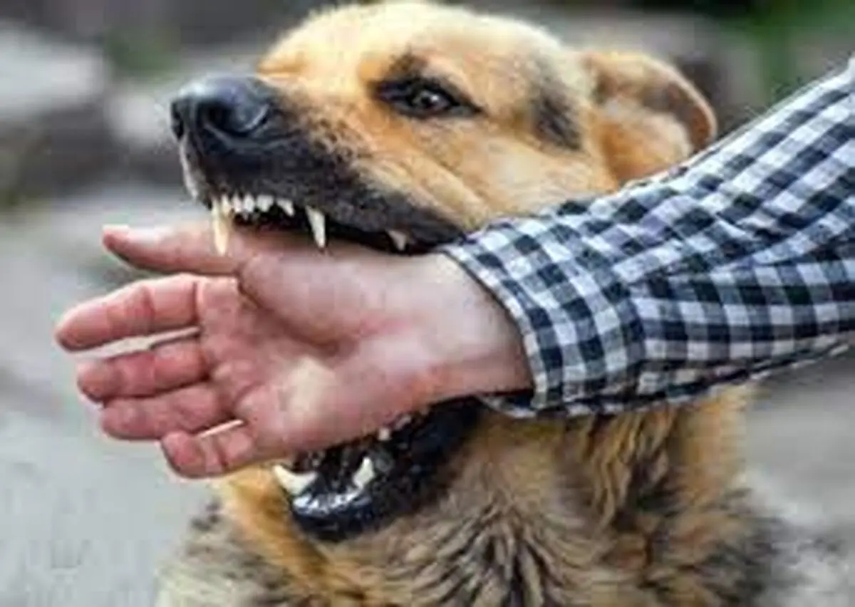 مرگی غم‌ انگیز، با بیماری هاری