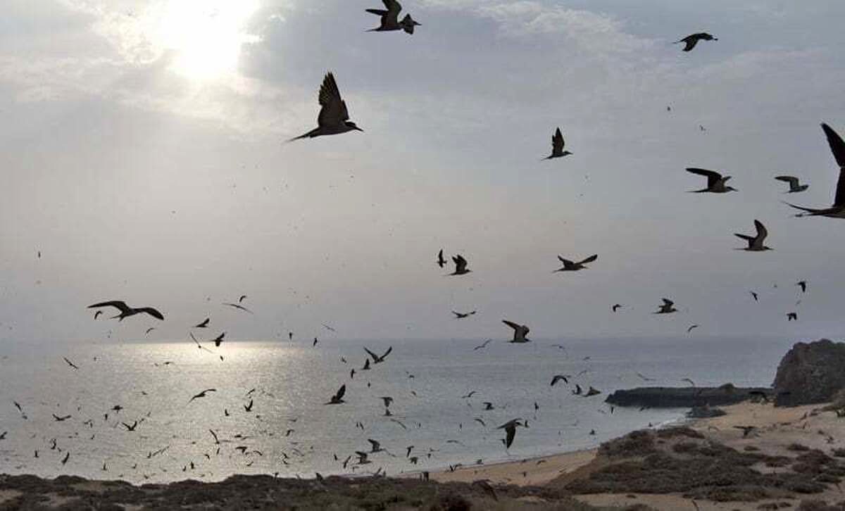 تغییر نام جزیره ابوموسی
