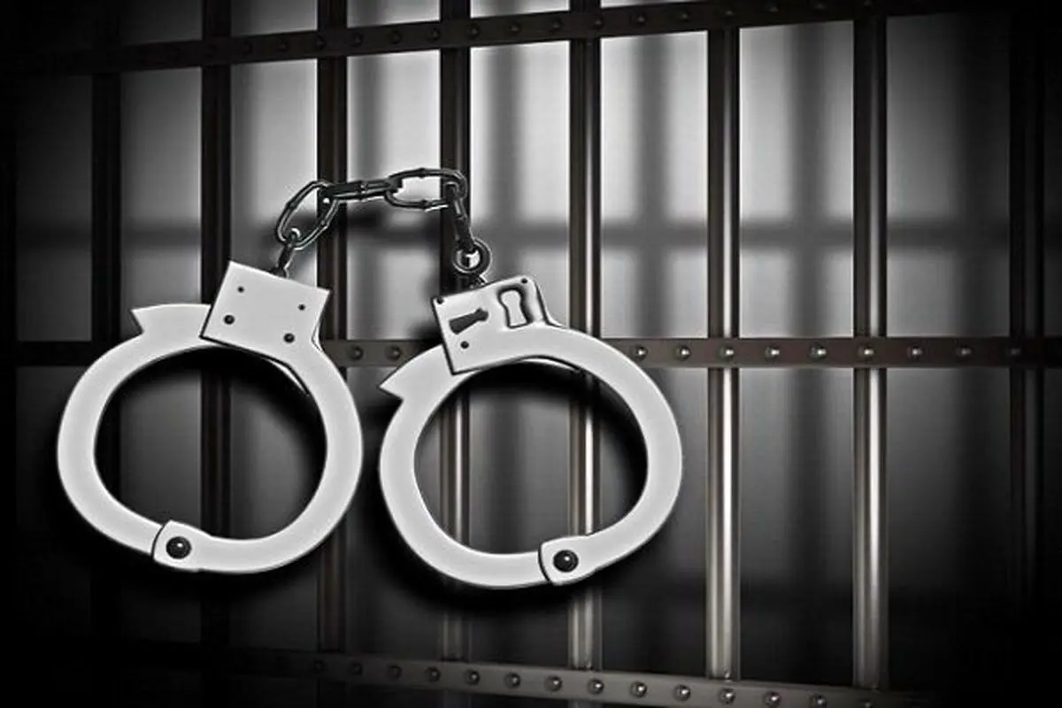 سرکرده اوباش در قیطریه، با شلیک پلیس زمین گیر شد/ ویدئو 