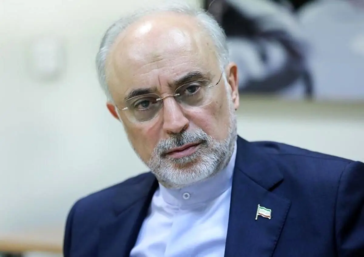 مشکل این است که دشمن را شوخی می‌گیریم/ کیسینجر می‌گفت جمهوری اسلامی می خواهد هم باورهای بینشی خود را پیاده کند و هم عضو سازمان ملل باشد و این 2 با هم در تعارض است/ ما به شدت تنهاییم/ کشورهای دیگر مثل ما نیستند و منافع ملی‌شان را مقدم بر همه چیز می‌دانند