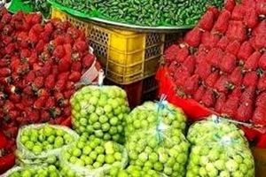 قیمت‌های نجومی برای توت فرنگی/ چرا هندوانه گران شد؟