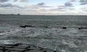 وحشت در مصر؛ آب دریا برای سومین روز متوالی به دلایل نامعلوم «سیاه» شد