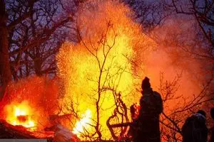 آتش‌سوزی در ۶۰ هکتار از جنگل های گیلان/ نیروهای بومی به کمک بیایند