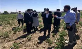 سفیر ژاپن در تهران: مدیریت منابع آب در ایران معضل جدی است