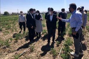 سفیر ژاپن در تهران: مدیریت منابع آب در ایران معضل جدی است