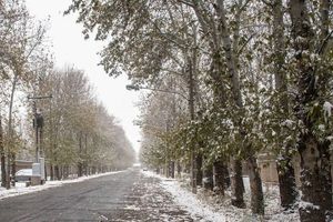 خراسا‌ن‌شمالی سه‌شنبه تعطیل شد