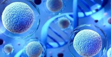 اولین محصول سلول‌درمانی ایرانی وارد فهرست دارویی کشور شد/ صرفه‌جویی ۵۲ میلیونی ارزی