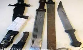 دستگیری هفت نفر از اراذل و اوباش تبریز