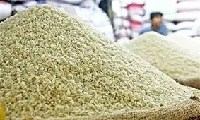 خشکسالی نیمی از برنج امسال را وارداتی کرد