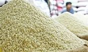 خشکسالی نیمی از برنج امسال را وارداتی کرد