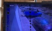 خفت گیری هولناک از جوان تهرانی در محله باغ فیض/ ویدئو