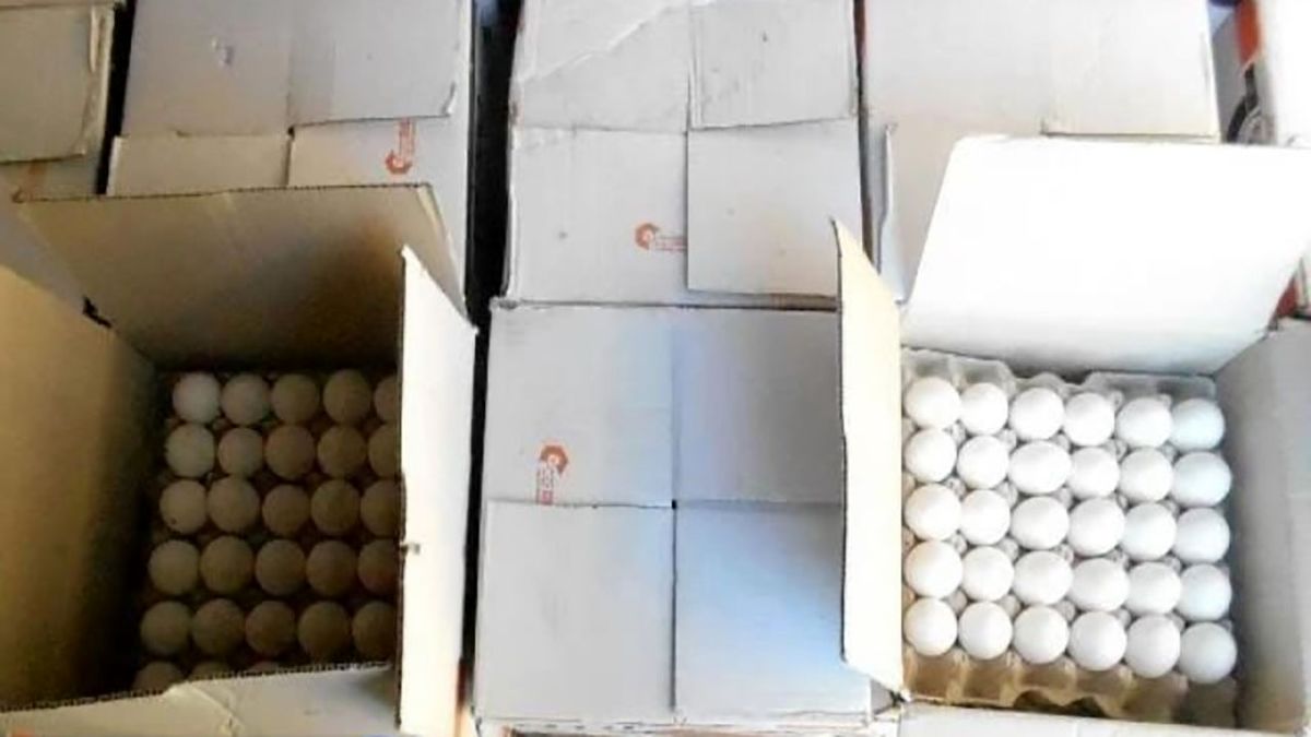 کشف ۴ تن تخم مرغ فاقد مجوز در حاجی‌آباد