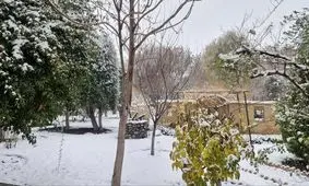 کاهش دما و ماندگاری هوای سرد در کشور