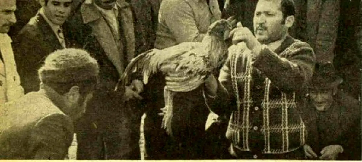 سفر در زمان؛ گزارشی عجیب از یک تفریح زیرزمینی در تهران دهه پنجاه 