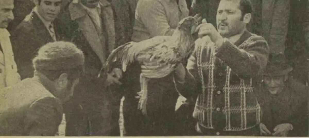 سفر در زمان؛ گزارشی عجیب از یک تفریح زیرزمینی در تهران دهه پنجاه 
